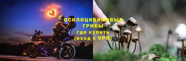 бутират Алексин