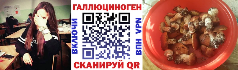 Галлюциногенные грибы мицелий  Арск 